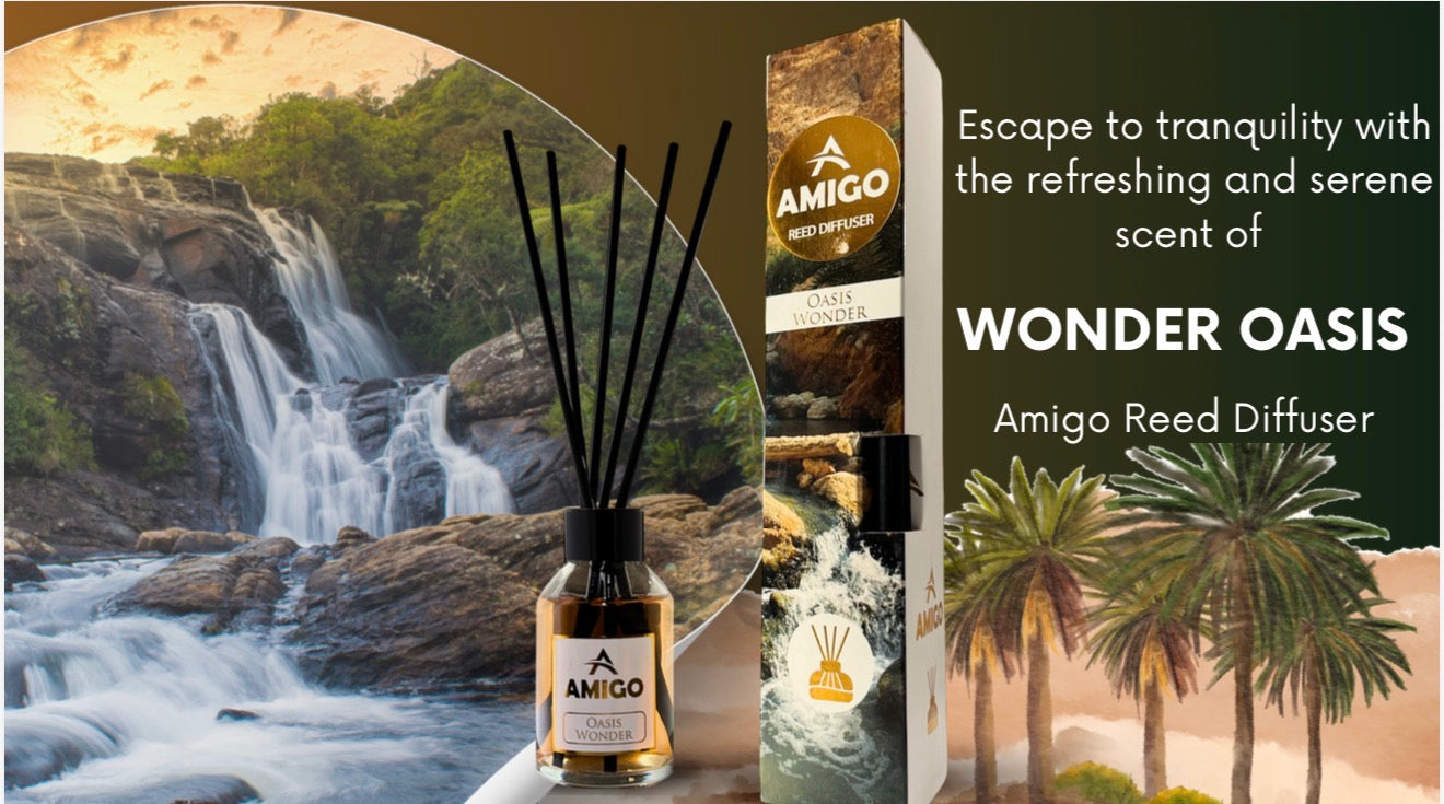 Wonder Oasis Reed Diffuser By Amigo – Desert Rose